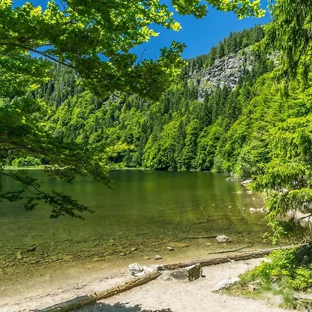 App 1102 - Sweet-home - Mit Pool, Sauna, * Schluchsee